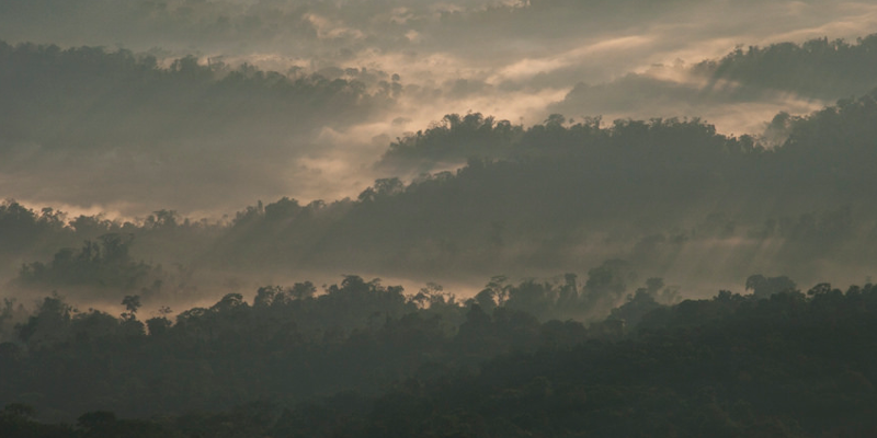 Cordillera Azul National Park