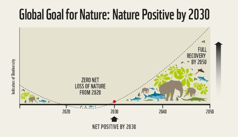 Nature Positive